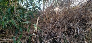 박종화님의 기타작물 · 영농일지 작성글 사진