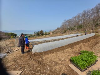 고추농사 정 미라님의 고추 · 영농일지 작성글 사진