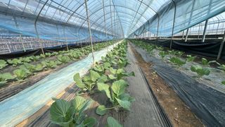 김성진님의 작성글 사진