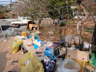 최훈님의 기타작물 · 영농일지 작성글 사진