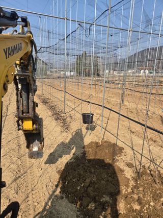 홍1237님의 사과 · 영농일지 작성글 사진