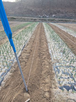 김기탁님의 기타작물 · 영농일지 작성글 사진