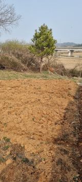 팜모닝 기타작물·영농일지 게시글 이미지