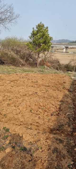 지용환님의 기타작물 · 영농일지 작성글 사진