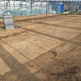 팜모닝 벼·영농일지 게시글 이미지