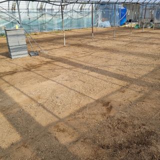 오학봉(멀티팜)님의 벼 · 영농일지 작성글 사진