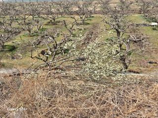 진문거사님의 기타작물 · 영농일지 작성글 사진