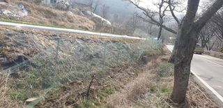 정천복님의 기타작물 · 영농일지 작성글 사진