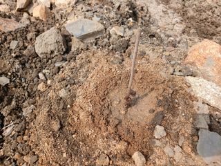 김홍중님의 두릅 · 영농일지 작성글 사진