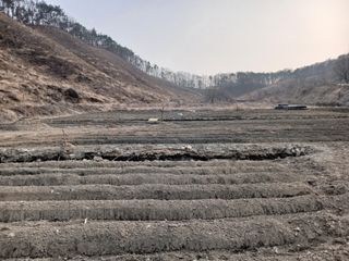 김홍중님의 작성글 사진