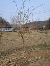 류남열님의 작성글 사진