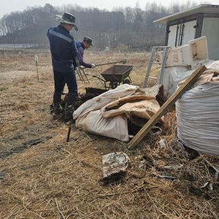 이주환님의 고구마 · 영농일지 작성글 사진