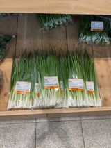 팜모닝 파·영농일지 게시글 이미지