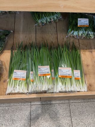 김영완님의 파 · 영농일지 작성글 사진