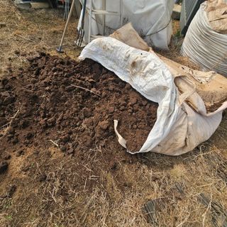 이주환님의 고구마 · 영농일지 작성글 사진