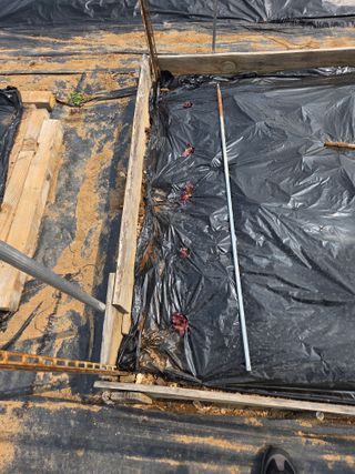 게으른농부님의 상추 · 영농일지 작성글 사진