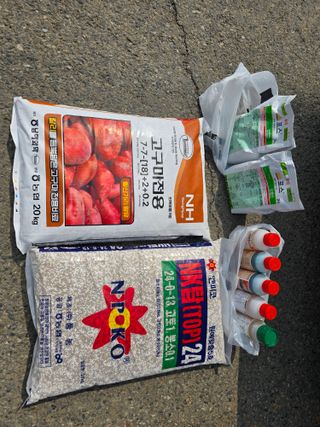 심기정님의 들깨 · 영농일지 작성글 사진