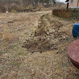 팜모닝 고구마·영농일지 게시글 이미지