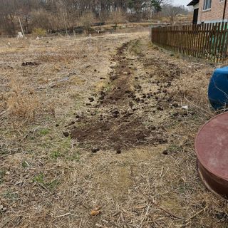 이주환님의 고구마 · 영농일지 작성글 사진