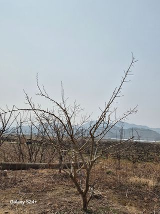 진문거사님의 기타작물 · 영농일지 작성글 사진