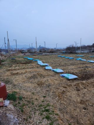 늘해랑농원님의 기타작물 · 영농일지 작성글 사진