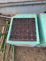 팜모닝 상추·영농일지 게시글 이미지