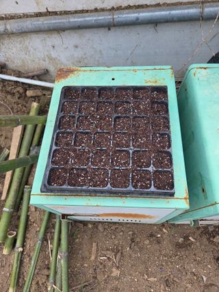 게으른농부님의 작성글 사진