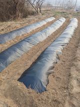 팜모닝 감자·영농일지 게시글 이미지