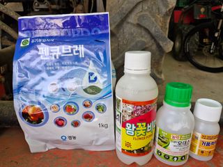 성은모님의 복숭아 · 영농일지 작성글 사진