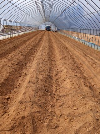 차민주님의 옥수수 · 영농일지 작성글 사진