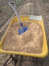 류남열님의 작성글 사진