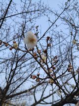 강지현님의 작성글 사진