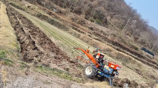 김동명님의 기타작물 · 영농일지 작성글 사진