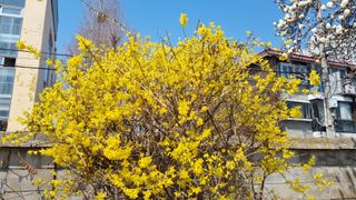 김지철님의 기타작물 · 영농일지 작성글 사진