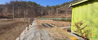 강호지인님의 기타작물 · 영농일지 작성글 사진