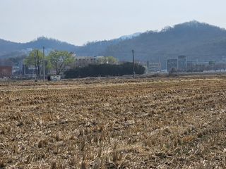 넥스젠님의 벼 · 영농일지 작성글 사진