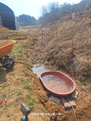 이수홍(이창희)님의 기타작물 · 영농일지 작성글 사진