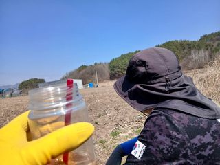 벼15517님의 작성글 사진