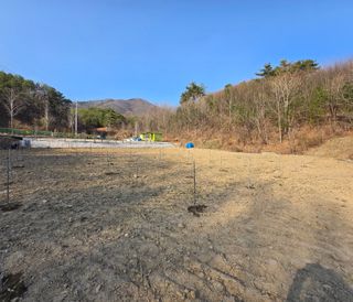 강호지인님의 기타작물 · 영농일지 작성글 사진