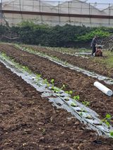 한림한경님의 작성글 사진