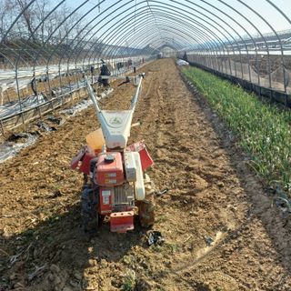 김진영님의 작성글 사진