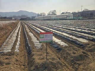 김병창님의 파 · 영농일지 작성글 사진