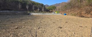 강호지인님의 기타작물 · 영농일지 작성글 사진