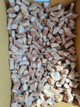 자연같이님의 작성글 사진