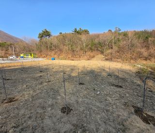 강호지인님의 기타작물 · 영농일지 작성글 사진