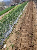 늘찬님의 작성글 사진