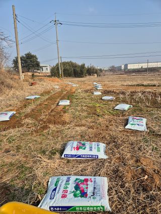 김기철님의 기타작물 · 영농일지 작성글 사진