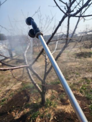 박병한님의 복숭아 · 영농일지 작성글 사진