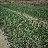 박흠님의 작성글 사진