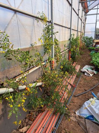 한림한경님의 작성글 사진